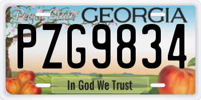 GA license plate PZG9834