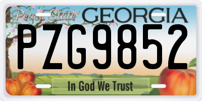 GA license plate PZG9852