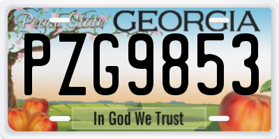 GA license plate PZG9853