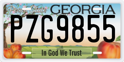 GA license plate PZG9855