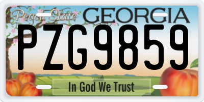 GA license plate PZG9859