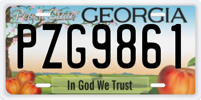 GA license plate PZG9861