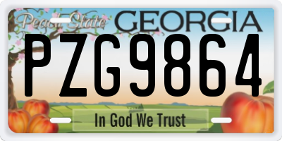 GA license plate PZG9864