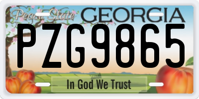 GA license plate PZG9865