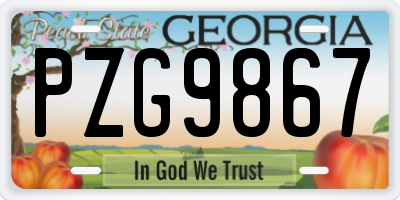 GA license plate PZG9867