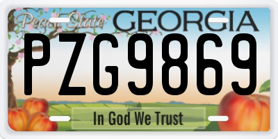 GA license plate PZG9869