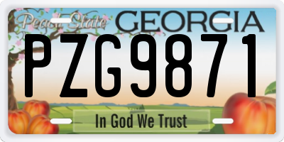 GA license plate PZG9871