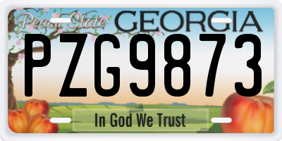 GA license plate PZG9873
