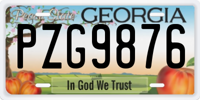 GA license plate PZG9876