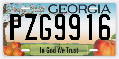 GA license plate PZG9916