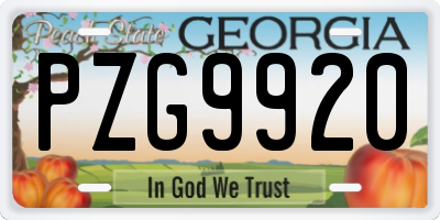 GA license plate PZG9920