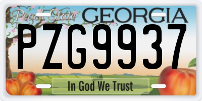 GA license plate PZG9937