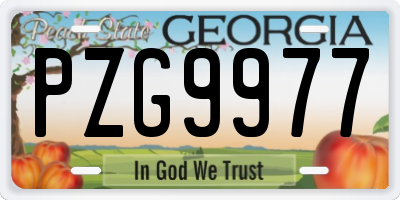 GA license plate PZG9977
