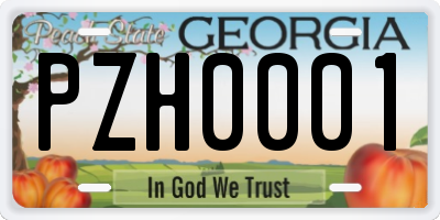 GA license plate PZH0001