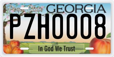 GA license plate PZH0008