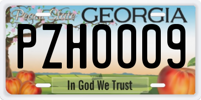 GA license plate PZH0009