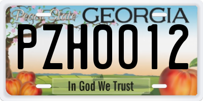 GA license plate PZH0012
