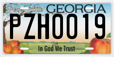 GA license plate PZH0019