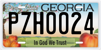 GA license plate PZH0024