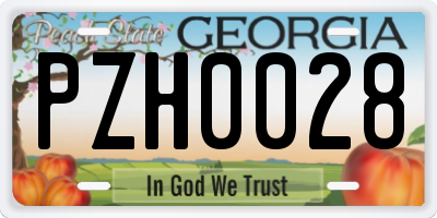 GA license plate PZH0028