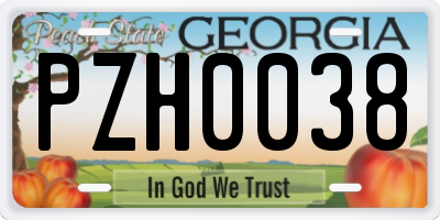 GA license plate PZH0038