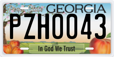GA license plate PZH0043