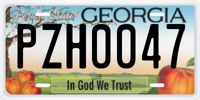 GA license plate PZH0047