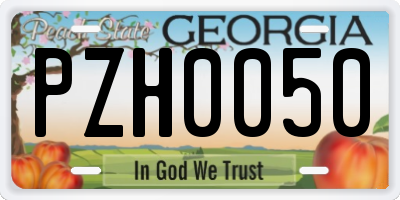 GA license plate PZH0050