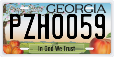 GA license plate PZH0059