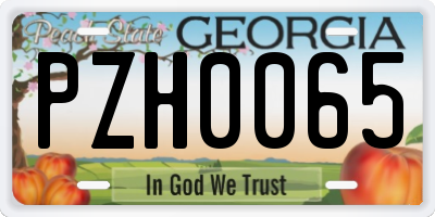 GA license plate PZH0065