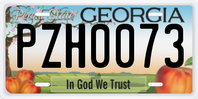 GA license plate PZH0073