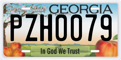 GA license plate PZH0079
