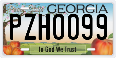 GA license plate PZH0099