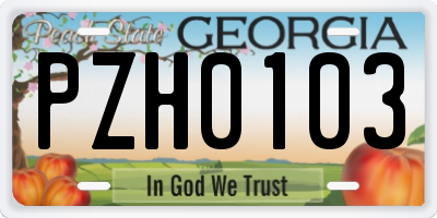 GA license plate PZH0103