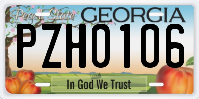GA license plate PZH0106
