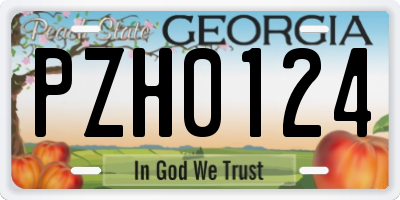 GA license plate PZH0124