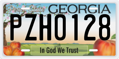 GA license plate PZH0128