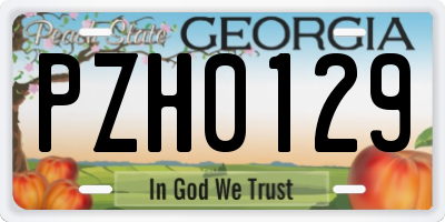 GA license plate PZH0129