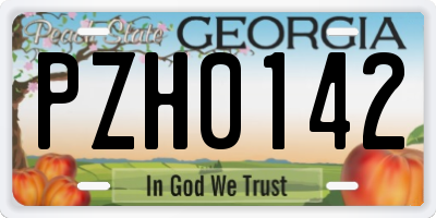 GA license plate PZH0142