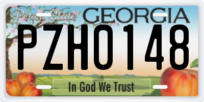 GA license plate PZH0148