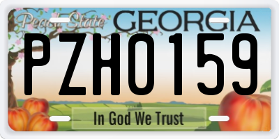 GA license plate PZH0159