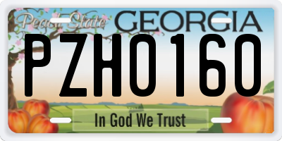 GA license plate PZH0160