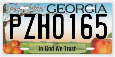 GA license plate PZH0165