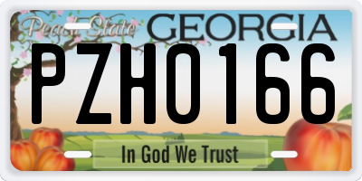 GA license plate PZH0166