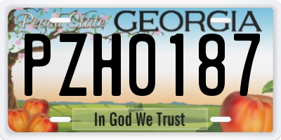 GA license plate PZH0187