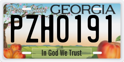 GA license plate PZH0191