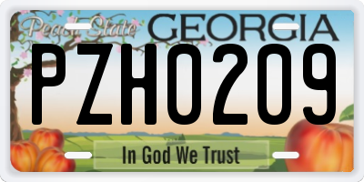 GA license plate PZH0209