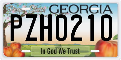 GA license plate PZH0210