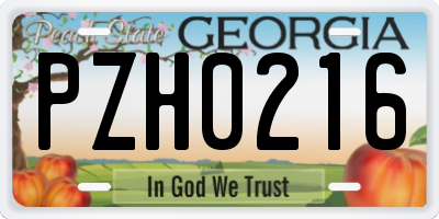 GA license plate PZH0216