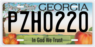 GA license plate PZH0220